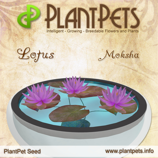 PlantPet Seed [Lotus *Moksha*] common Release Day 26.06.2021