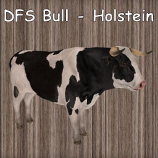 DFS Bull - Holstein