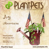 PlantPet Seed [Ivy *Americana*] limited elite Release Day 04.07.2021
