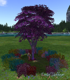 Sleeping Nymph Tree 