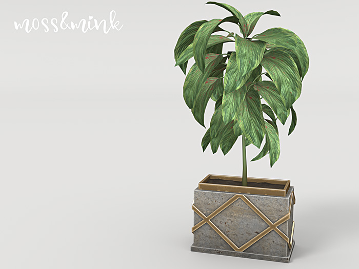 {moss&mink} Tarley Plant