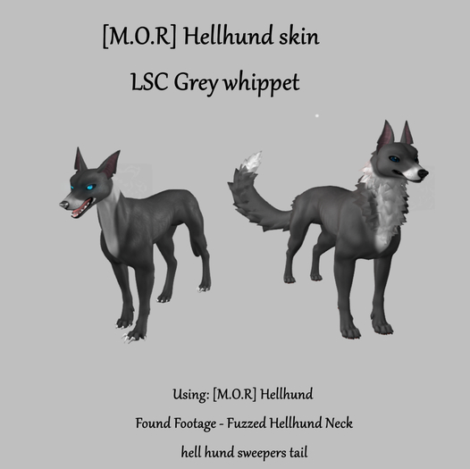 [M.O.R] hellhund : LSC grey whippet mod