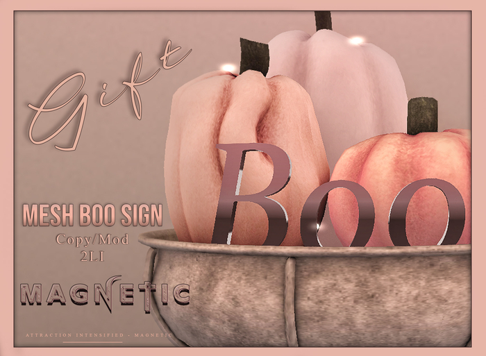 Magnetic - Boo Mesh Decor (ADD ME)