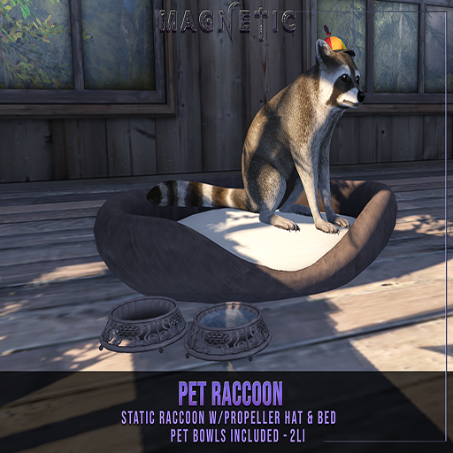 Magnetic - Pet Raccoon (ADD ME)