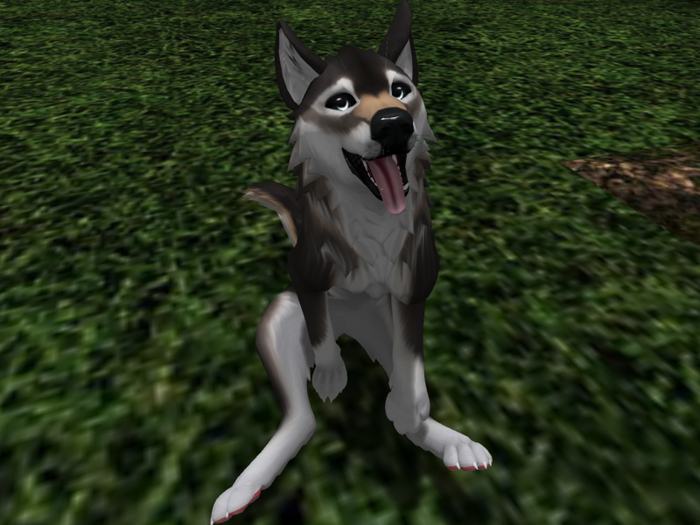 TWI Timber Wolf Texture Applier