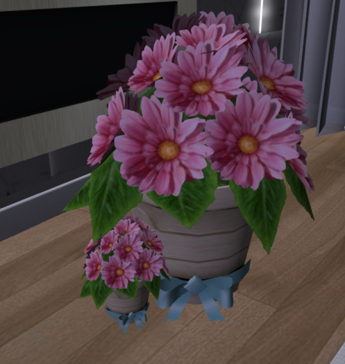Pink flowers in pot