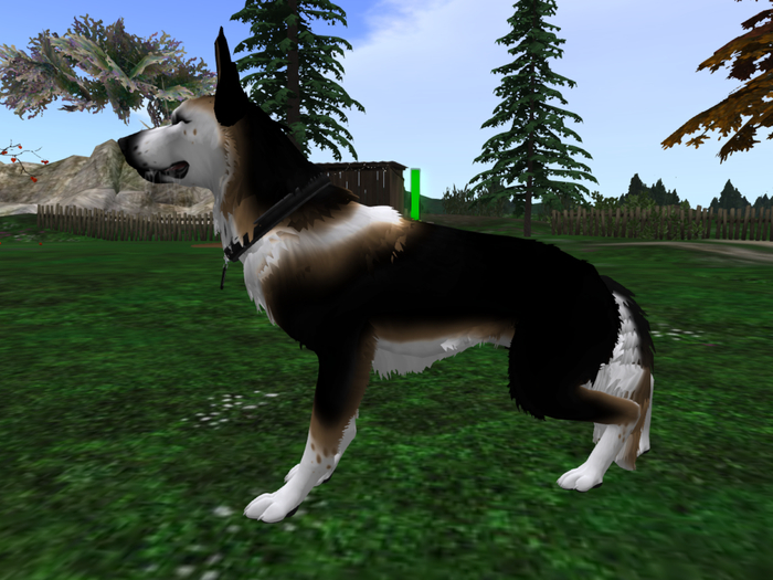 NM's Junk & Stuff Panda Sheppie Mod (BOXED)