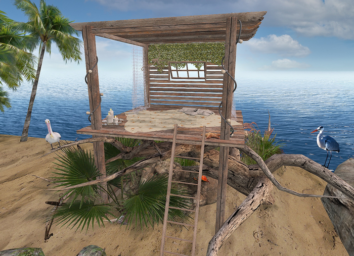 CJ Dreamy Arbor 