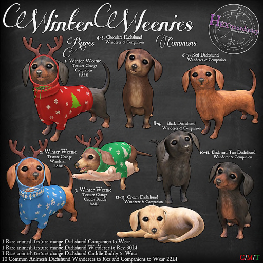 2. *HEXtraordinary* Winter Weenie Wanderer - RARE