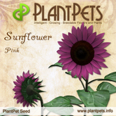 PlantPet Seed [Sunflower *Pink*] common Release Day 30.09.2012