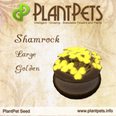 PlantPet Seed [Shamrock *Large Golden*]