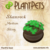 PlantPet Seed [Shamrock *Medium Shiny*]