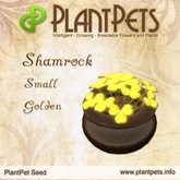 PlantPet Seed [Shamrock *Small Golden*]