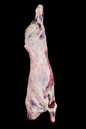 DFS Beef Carcass 18 1