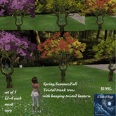 Spring Summer Fall twisted trunk trees & lanterns-Box