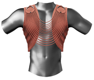 RIOT / Levi Vest - Coral