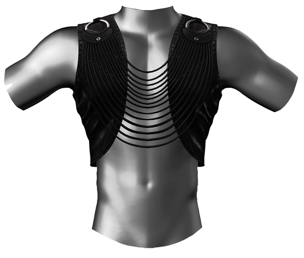 RIOT / Levi Vest - Black