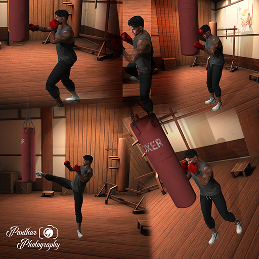 [Panthar Pose] Boxing Set