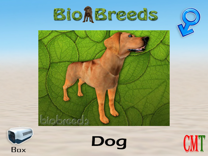 BioBreeds BB Lab Box Red Male