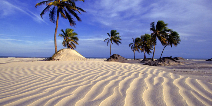 Beach Textur