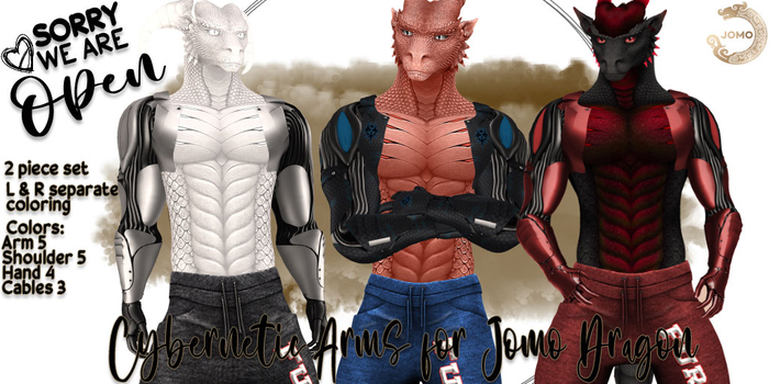 SWO Cybernetic Arms for Jomo Male Dragon