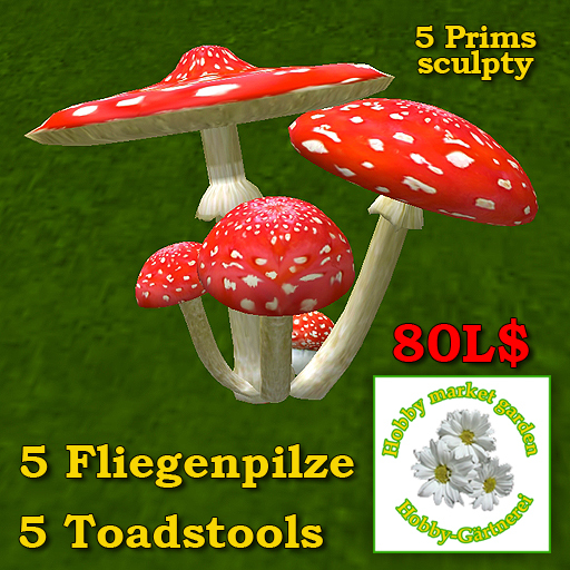 5 Toadstools