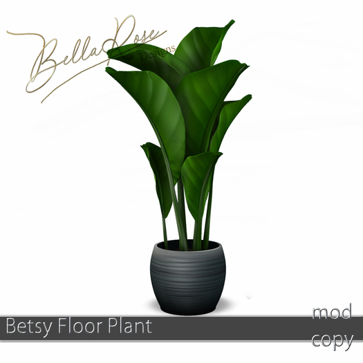 [BR] Betsy FLoor Plant