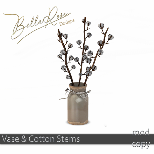 [BR] Vase & Cotton STems