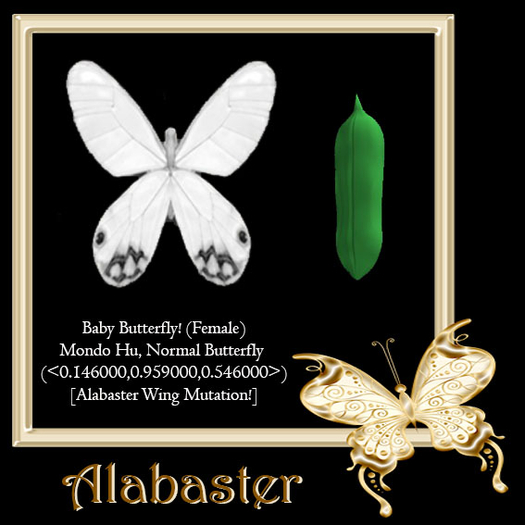 {Papillon} Fe/Mon/Nor/Hu/Butterfly/Alabaster Cocoon