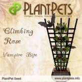 PlantPet Seed [Climbing Rose *Vampire Bite*], rare / Trusted Breeder of PP