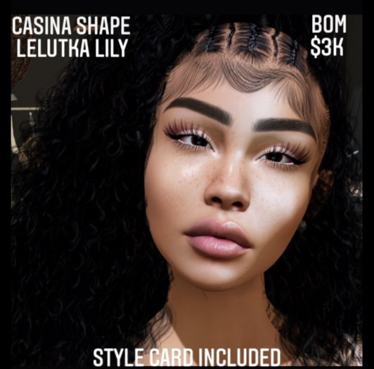 CASINA SHAPE