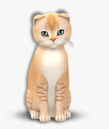 KittyCatS Box - Burmilla - Red Silver Shaded Female a5fe