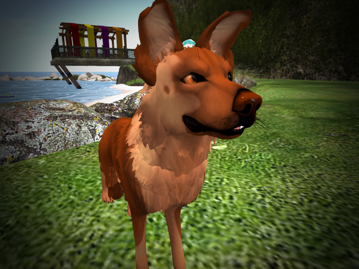 NM's Junk & Stuff Liver Sheppie Mod (BOXED)