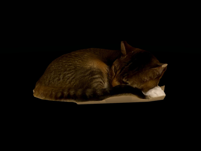 Full Perm Props "Dasiy the cat"