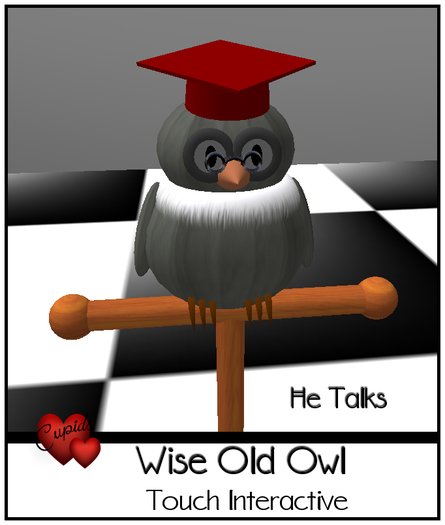 *CUPIDS*Grey Wise Owl Scripted