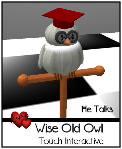 *CUPIDS*White Wise Owl Scripted