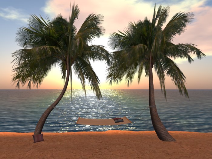 *** CUDDLE BEACH PALM HAMMOCK *** 20 poses