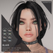Blair%20vendor%20neu