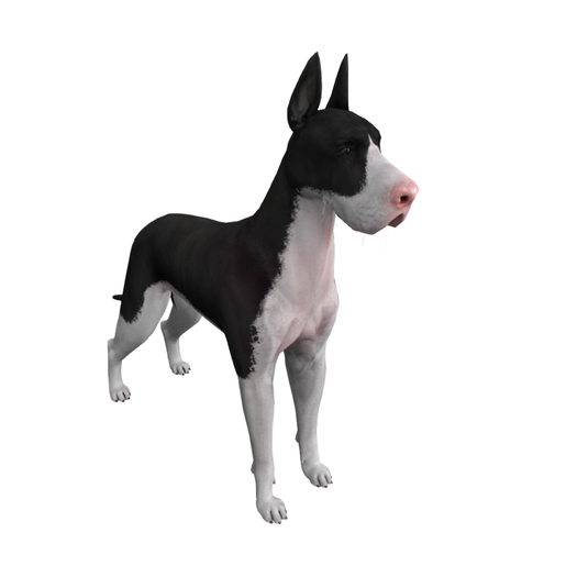 DOG-Royal -Greatest Dane Mantle