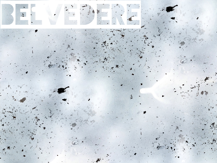Belvedere - Rough Spray Paint Texture