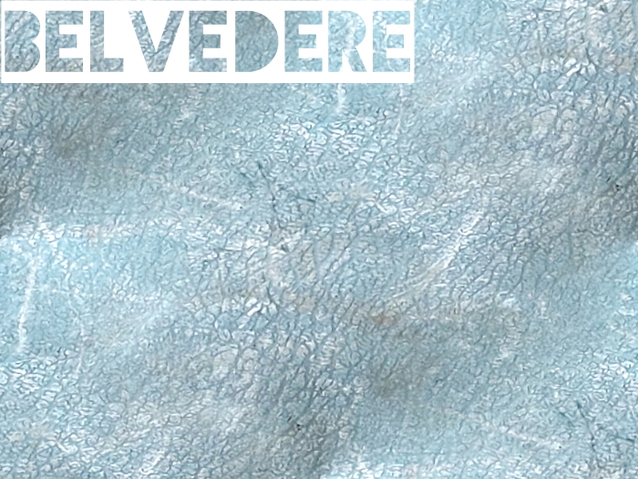 Belvedere - Rough Plastic Texture