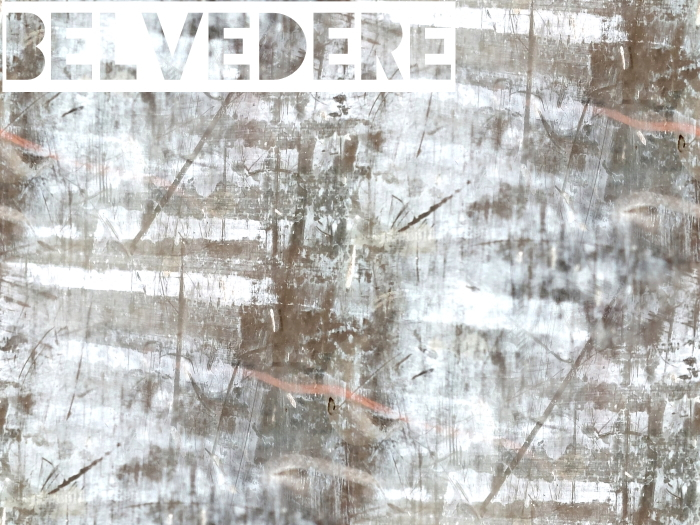 Belvedere - Rough Paint Texture