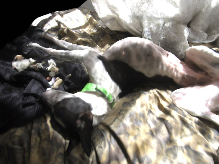 Full Perm Props "Dog Nina"