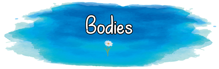 Trivia Daze - Bodies! - For Trivia Balls