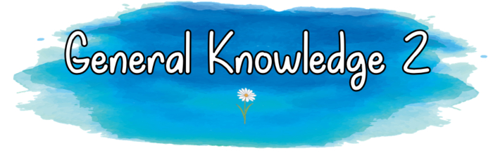 Trivia Daze - General Knowledge 2 - For Trivia Balls