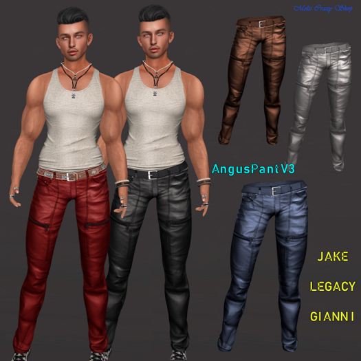 ANGUS PANT V3
