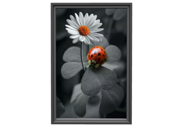 Picture with frame Marienkaefer