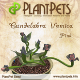 PlantPet Seed [Candelabra Vomica *Pink*] common Release Day 28.06.2010