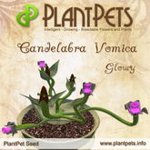 PlantPet Seed [Candelabra Vomica *Glowy*]