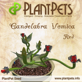 PlantPet Seed [Candelabra Vomica *Red*] common Release Day 28.06.2010